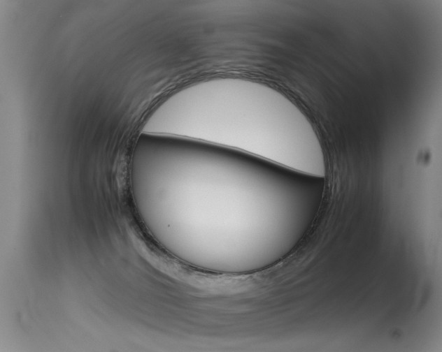 X0000115540036200911061200