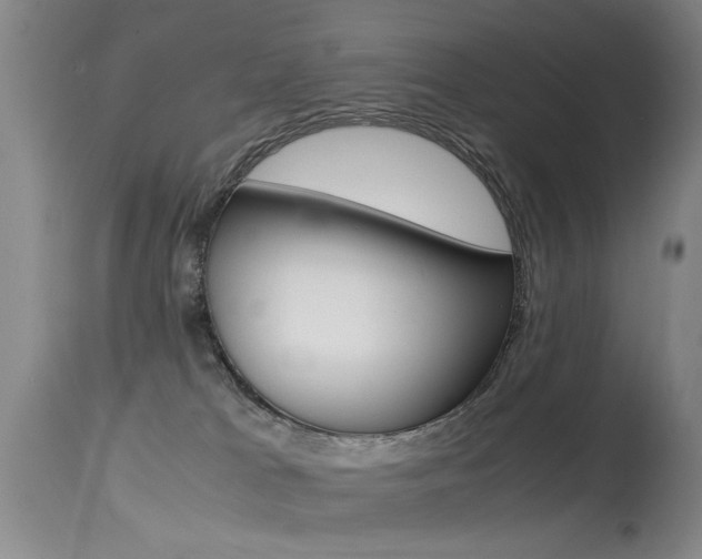 X0000115540037200911061200