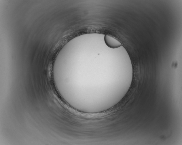 X0000115540038200911061200