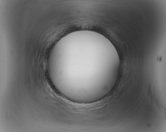 X0000115540039200911061200