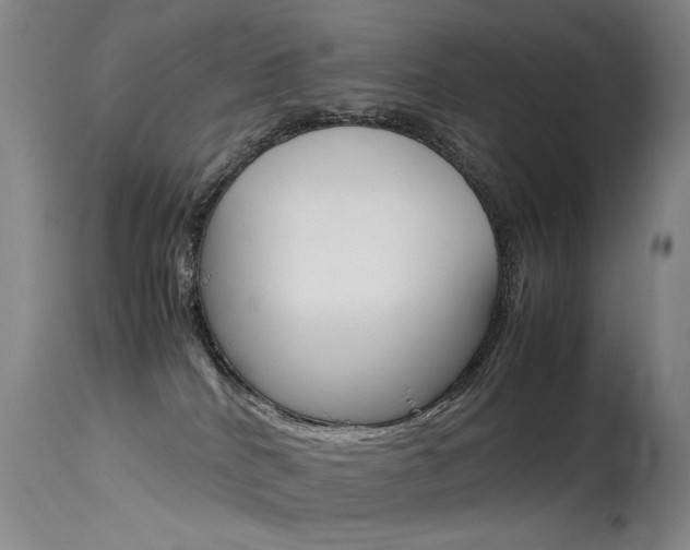 X0000115540040200911061200