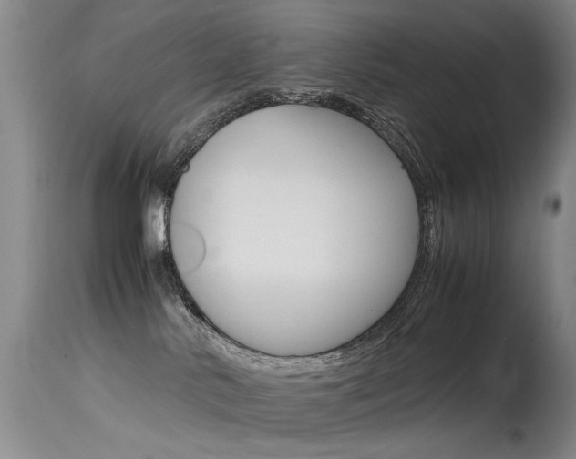 X0000115540042200911061200