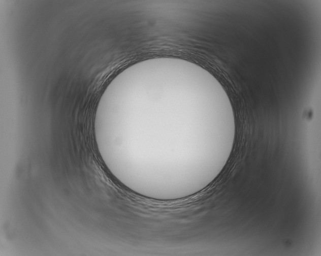 X0000115540043200911061200