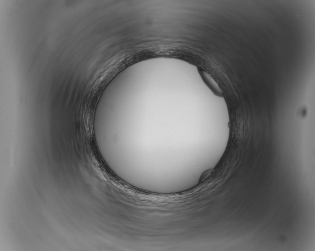 X0000115540044200911061200