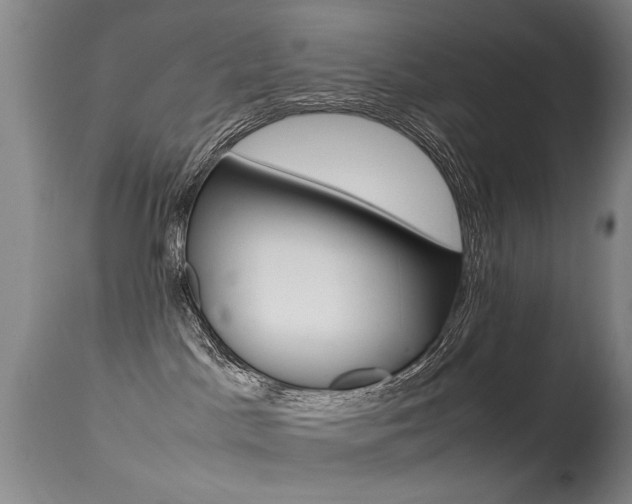 X0000115540045200911061200