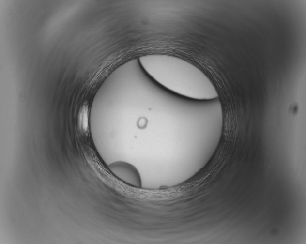 X0000115540046200911061200