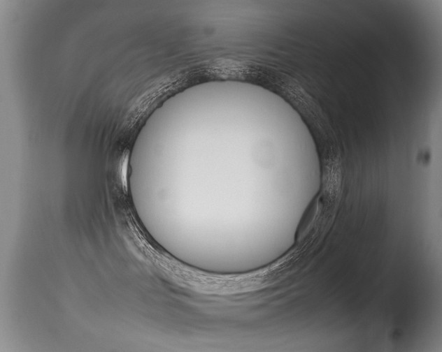 X0000115540047200911061200