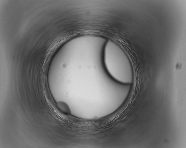 X0000115540049200911061159