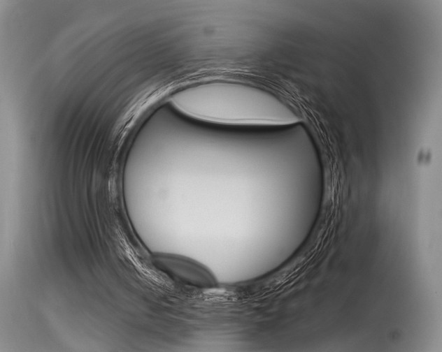 X0000115540050200911061159