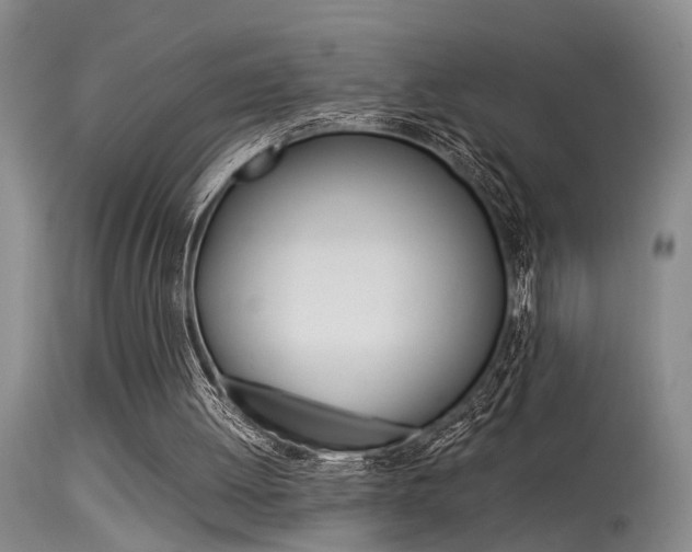 X0000115540052200911061159