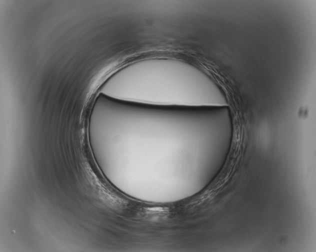 X0000115540053200911061159