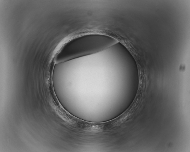 X0000115540056200911061159