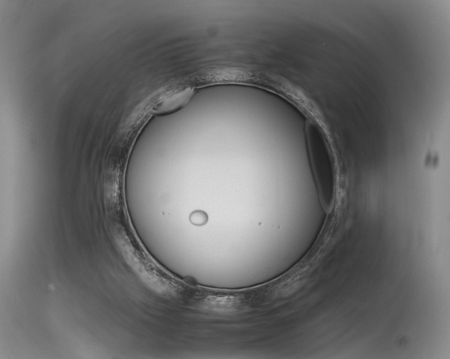 X0000115540057200911061159