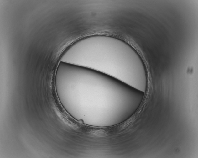 X0000115540058200911061159