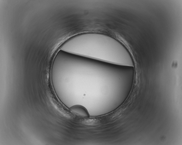 X0000115540059200911061159