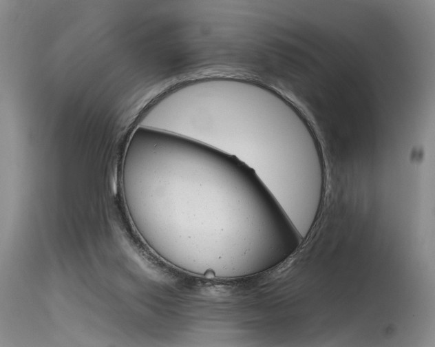 X0000115540062200911061159