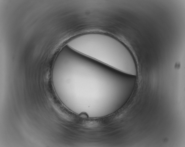 X0000115540063200911061159