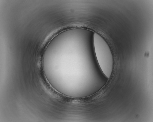 X0000115540064200911061159