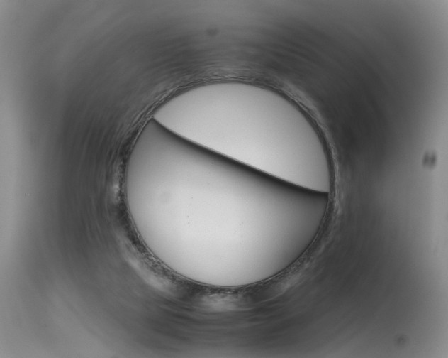 X0000115540065200911061159