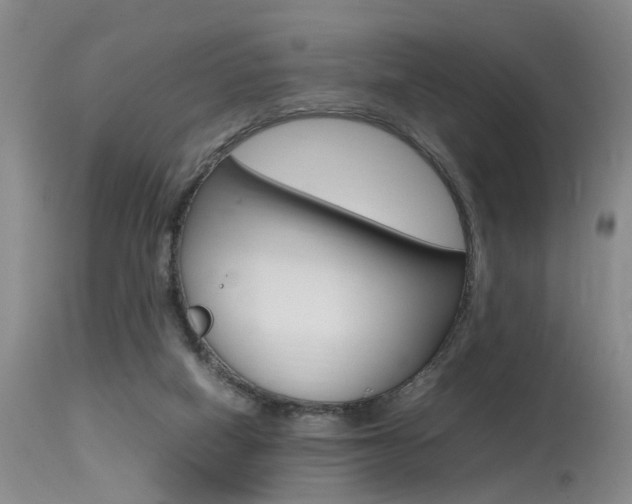 X0000115540066200911061159