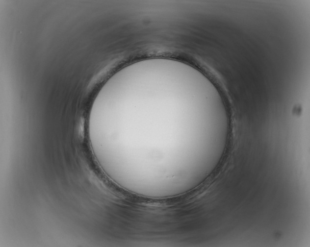 X0000115540067200911061159