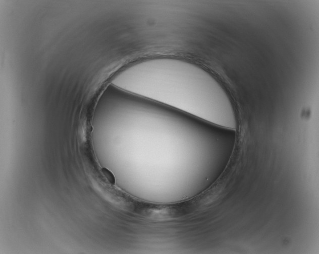 X0000115540068200911061159