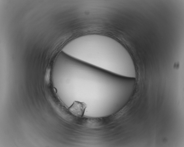 X0000115540070200911061159