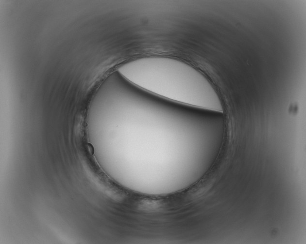 X0000115540071200911061200