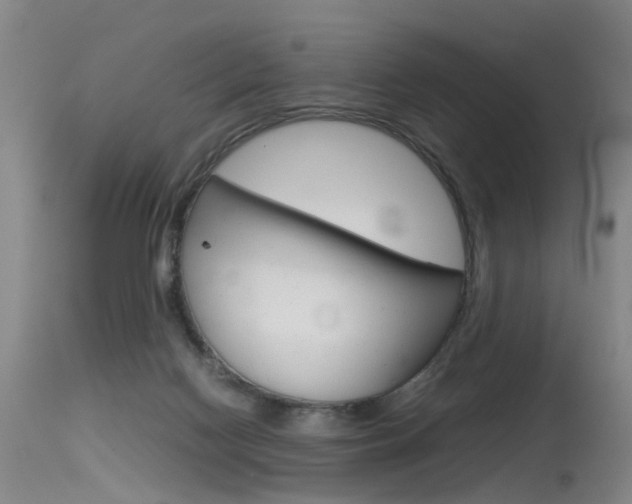 X0000115540074200911061200