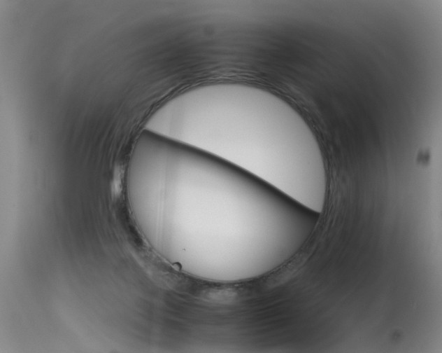 X0000115540075200911061200