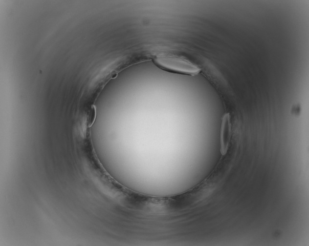 X0000115540076200911061200