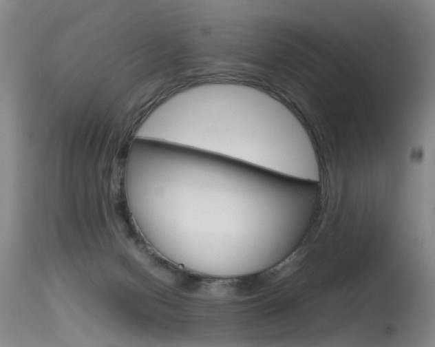 X0000115540078200911061200