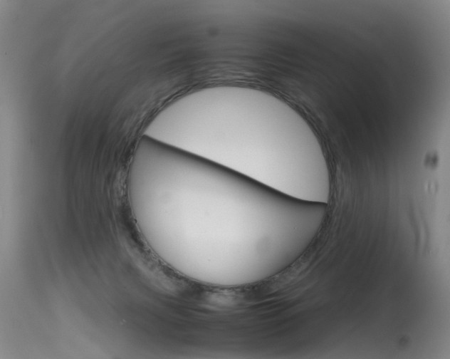 X0000115540079200911061200