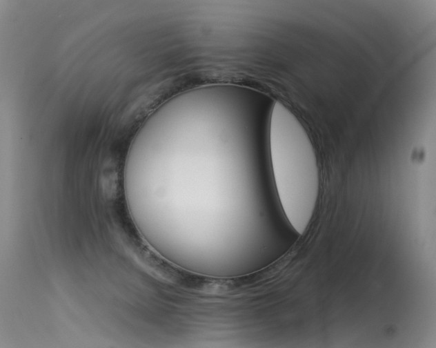 X0000115540080200911061200