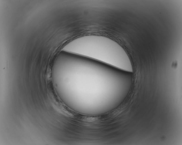 X0000115540081200911061200