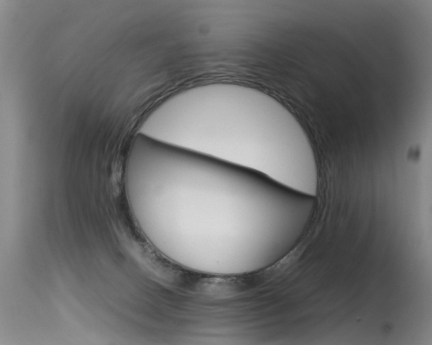 X0000115540082200911061200