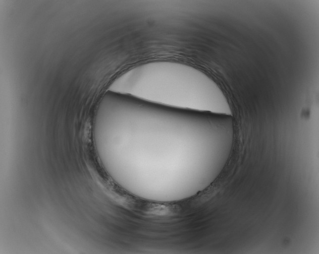 X0000115540083200911061200