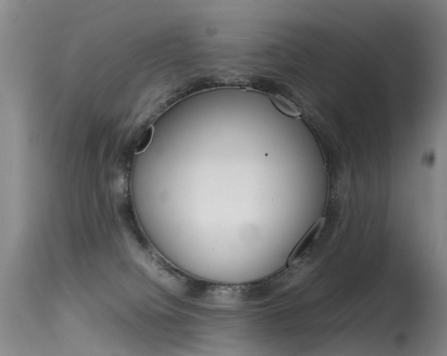 X0000115540084200911061200