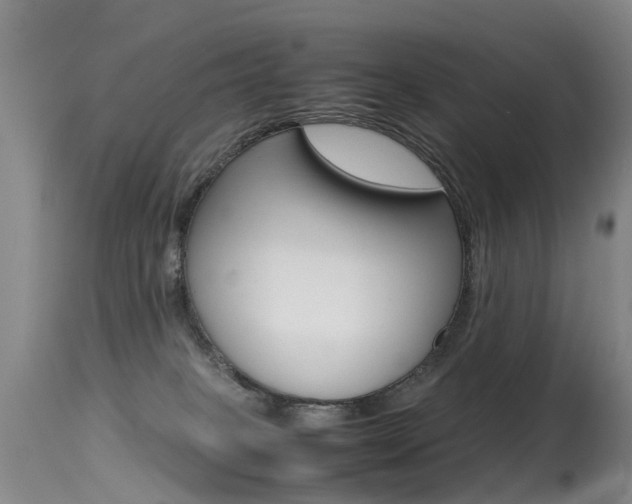 X0000115540085200911061200