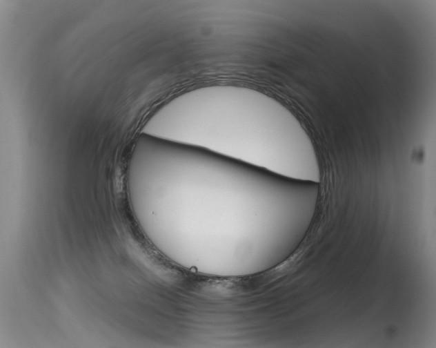 X0000115540086200911061200