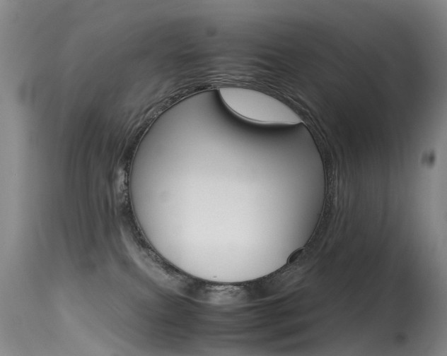 X0000115540087200911061200