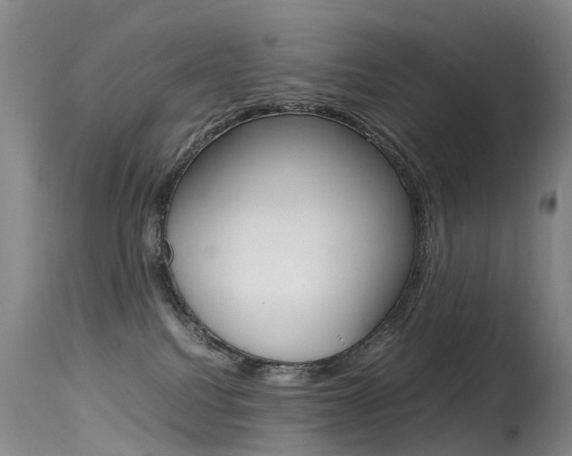 X0000115540088200911061200