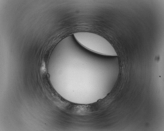 X0000115540089200911061200