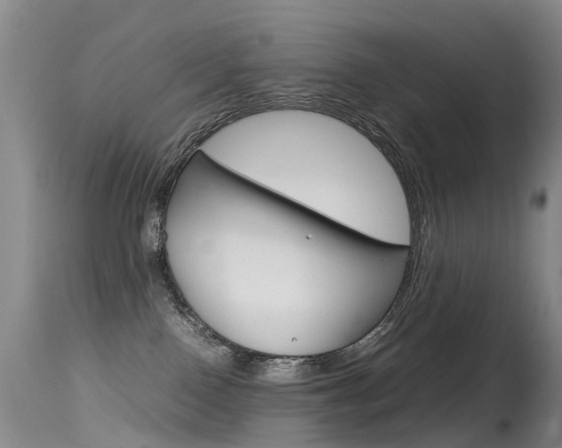 X0000115540090200911061200