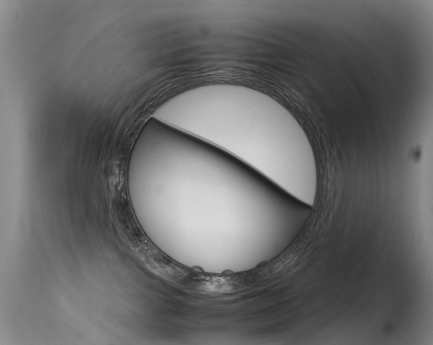 X0000115540091200911061200