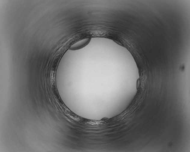 X0000115540093200911061200