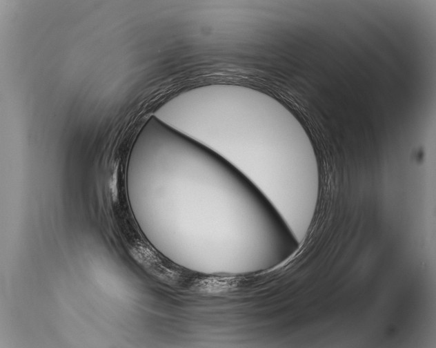 X0000115540094200911061200