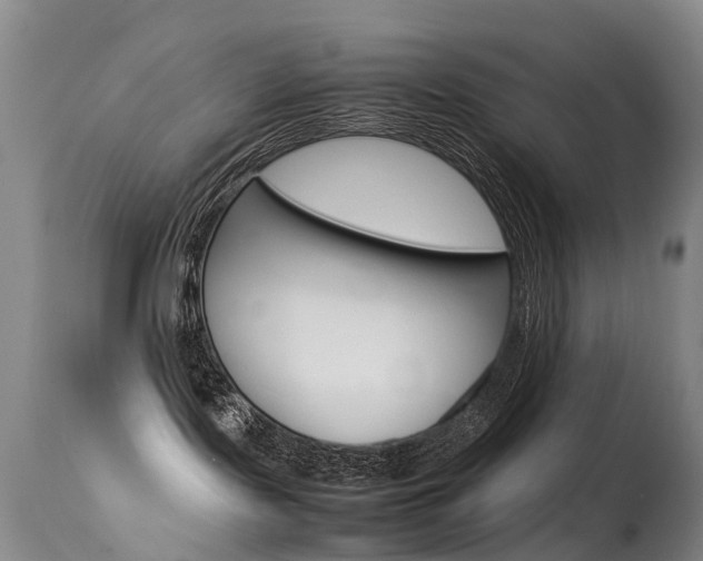 X0000115540095200911061200