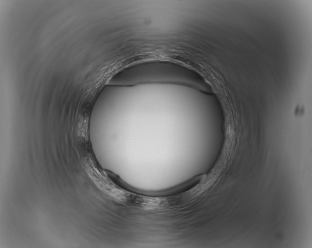 X0000115540096200911061200