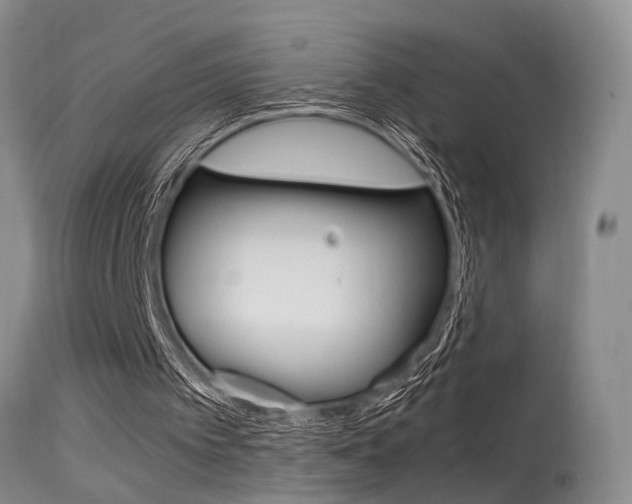 X0000115540097200911061159